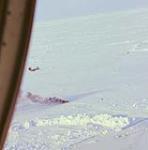 Lab Helo landing in smoke on ice [1974]