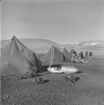 Camp site - Bay of Woe, Ellesmere Island [1974]