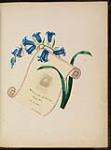 Blue Hyacinth with Scroll: "Ven Mère M. de l'Incarnation" n.d.