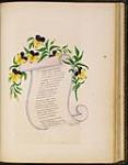 Pansies with Scroll 28 février, 1843.