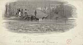 A Run of Salmon on the Fraser River 1887-1891