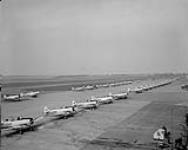 [Harvard advanced training aircraft line up on the tarmac at a training airfield] May 1955.