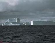 Icebergs seen from HMCS LABRADOR September, 1957
