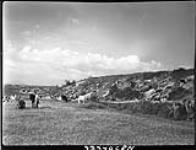 [Rural landscape] [1939-1945].