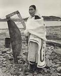 [Nepika stretching seal skin, Kinngait, Nunavut] [between 1956-1960]