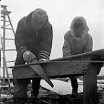 [A man sawing a piece of wood while Elijah (right) watches] [between 1956-1960]