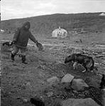 [Man feeding a dog outdoors] [between 1956-1960]