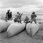 [Children playing on packed Hudson's Bay Company canoes at the beach] [between 1956-1960]