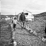 [Artist Kiakshuk walking along a gravel path with two boys, Kinngait, Nunavut] [between 1956-1960]