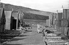 [Woman walking between two rows of houses] [between 1956-1960]
