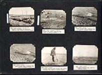 Schooner "Ptarmigan" at Cambridge Bay; drying seal skins at Cambridge Bay; square flipper seal at Stromness Bay; L.T. Rader hauling square flipper seal ashore at Stromness Bay 1929