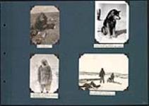 The Porspector [Prospector]; Eskimo sleigh dog, Hudson Bay country; Manchurian goat, substitute for caribou clothing; spring hunt on the sea ice 1929
