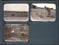 Buffalo in park and feeding wild [Canadian] geese in Wainwright Park 1925