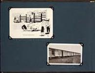 Cartoon of shipment of buffalo from Wainwright to Wood Buffalo Park and Buffalo loaded [in train] at Wainwright, Alberta 1925-1926