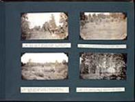 Noon camp at "Grassy slough" en route from Pine Lake to Junction lake; Buffalo wallow at "Grassy slough"; Large sink hole about 2 miles south of Junction Lake; J.D. Soper's camp at Junction lake, W.B.P. investigations June 7-9, 1932