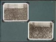 Nut Coal in Box Car Alberta M. 61 Sec. 14 and Stove Coal in Box Cars Alberta M. 62 Sec. 14 [1919]