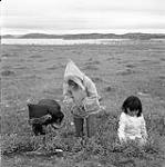 [Jo (left), Martha (middle) and a young child picking flowers, Iqaluit, Nunavut] [between 1956-1960]