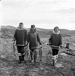 [Kananginak Pootoogook (middle) and two tourists carrying arctic char, Kinngait, Nunavut] 1960