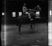 [Horse trainer] [1914-1924]