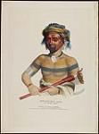 Shau-Hau-Napo-Tinia, an Ioway [sic] Chief 1837