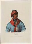 Se-Loc-Ta, A Creek Chief 1836