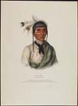 No-Tin, a Chippewa Chief 1842