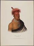 Shar-i-Tar-Ish, a Pawnee Chief 1841.
