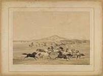 Wild Horses at Play 1844
