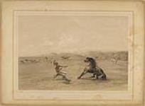 Catching the Wild Horse 1844