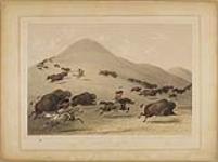 Buffalo Hunt, Chase [II] 1844