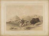 Buffalo Hunt, Chasing Back 1844