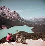 Man and Woman at Banff-Jasper Highway looking down on the Peyto Valley, Banff National Park, Alberta juillet 1953