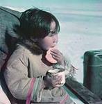 Little Inuit child [Pauloosie Idlout] eating bannock octobre 1951
