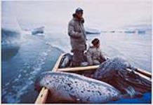 Seal hunter Augustin Taqqaugaq and his son Lukie motor through the shifting autumn ice floes of Foxe Basin. At this time of year, seals sink quickly after they are shot, and many are lost before they can be hauled into the boat.
Foxe Basin, September, 1979. 1979.