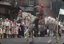 King Billy' on horseback in a procession (Orange Order parade), Ottawa [entre 1955-1963]