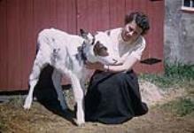 Anna Brown and a calf in front of a barn, Stanstead, Quebec   [entre 1955-1963]