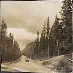 T.C.H. just beyond Banff, AB 1954.