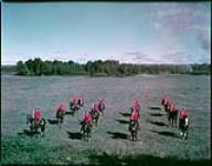 Rows of mounted RCMP officers in field, Rockcliffe, Ontario. [Rangées d'agents de la GRC à cheval dans un champ à Rockcliffe, Ontario.] juillet 1948.