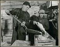 Deux pêcheurs du nord du Manitoba mettent des poissons dans des caisses pour les livrer au Sud March 1945