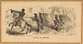 Battle of Chippewa [July 5, 1814] 5 July 1814