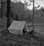 Rosemary Gilliat lisant dans une tente août 1954.