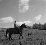 Helen Salkeld riding a horse, Eston, Saskatchewan 9 août 1954.