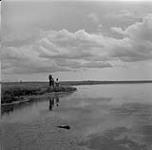 Marécage à la ferme de Billy Thompson, De Winton, Alberta 11 août 1954.