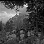 Vue panoramique de Banff, Alberta 16 août 1954.