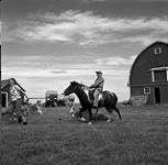 Garçon de la famille Salkeld se promenant sur un poney, Eston, Saskatchewan 9 août 1954.