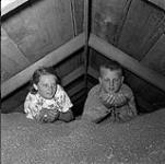 Two children from the Salkeld family playing in the granary, Eston, Saskatchewan 9 août 1954.