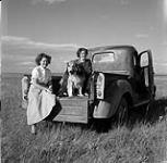 Audrey James et Marg Thompson avec un chien à l'arrière d'un camion, De Winton, Alberta August 11, 1954.