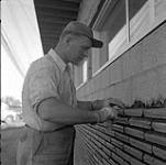Bricklayer working in Steinbach, Manitoba juin 1956.