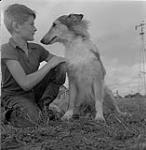 Garçon nommé Chester avec un colley à poil long, Eston, Saskatchewan 9 août 1954.