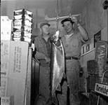 Men weighing a trout, Flin Flon, Manitoba 29 juin 1956.
